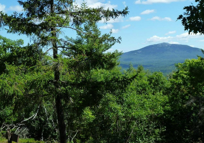 Rhododendron State Park, United States
